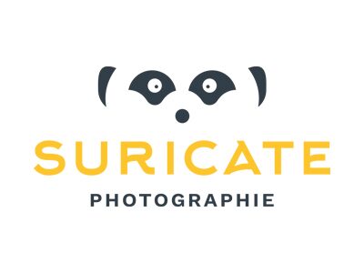 Logo Suricate