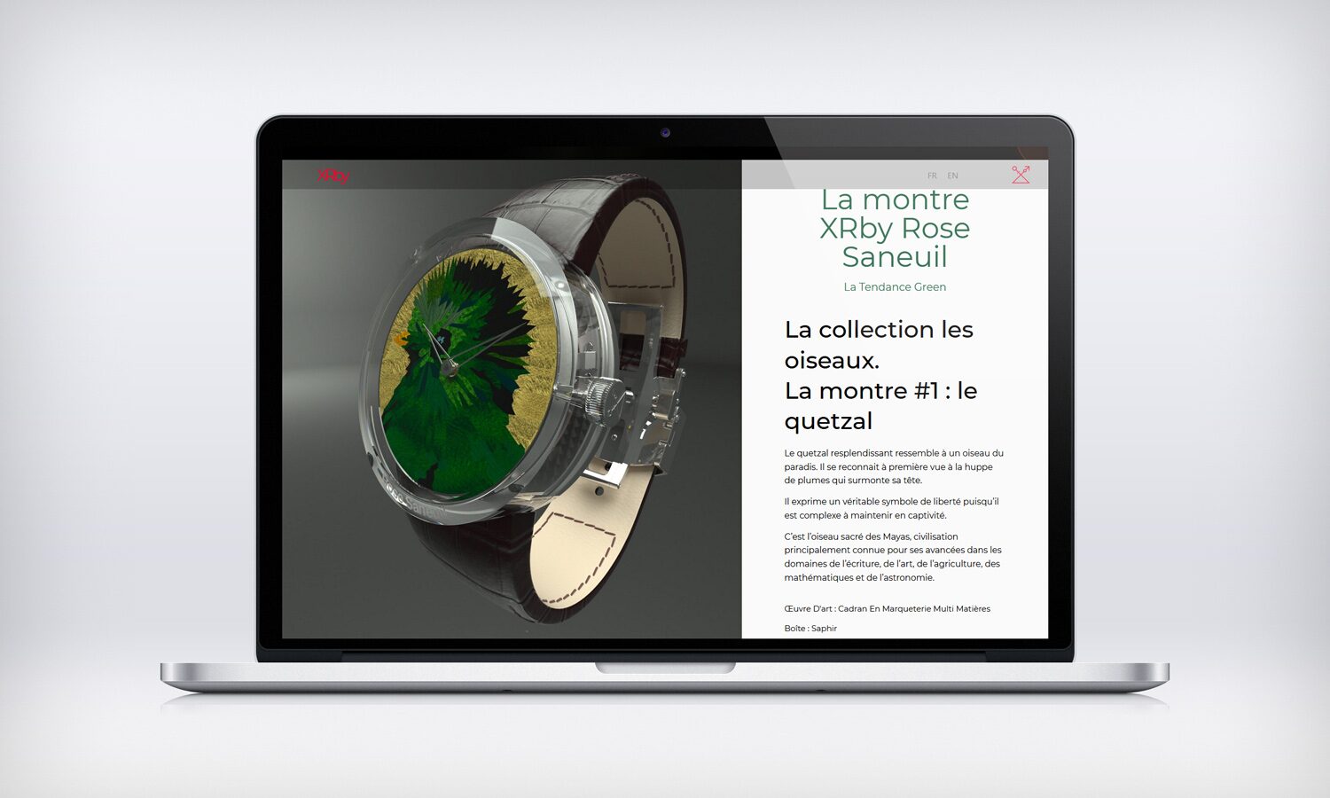 XR by, vue 2